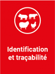 Identification des porcs et sangliers d'élevage-NATIONAL